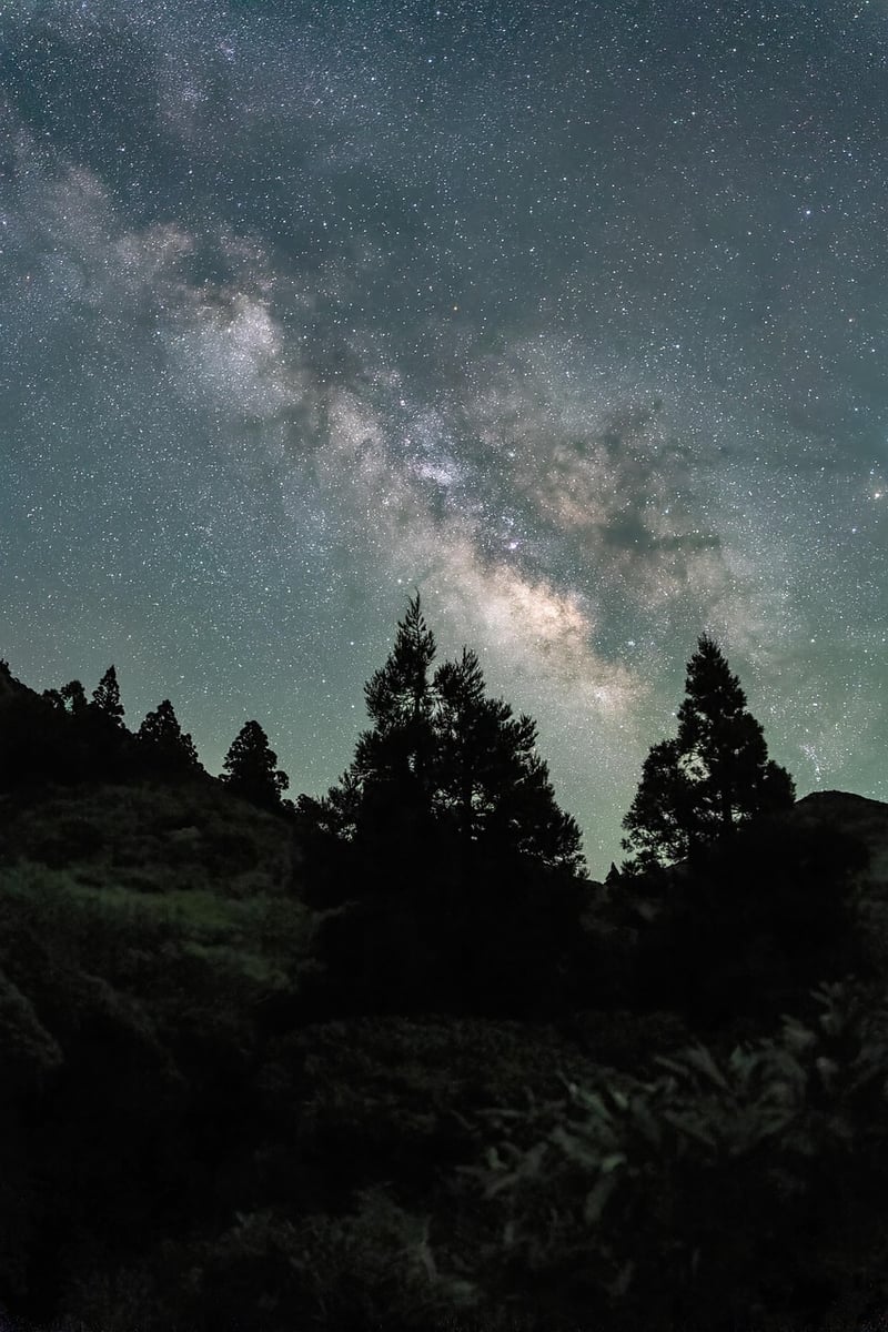 Starry Night Shot 2